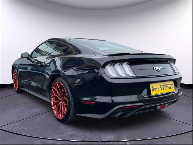 Ford Mustang 2,3 EcoBoost/AUTOMAT - fotka 8 z 23