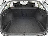 Škoda Octavia (2022) 2.0 TDI, ČR,1.maj, Serv.kniha - náhled 13