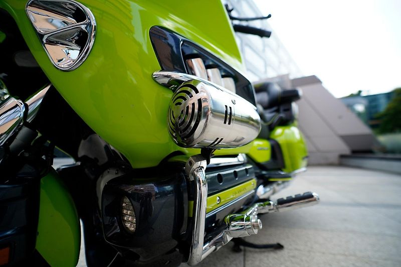 Honda GL 1800 Gold Wing Mamba Green - fotka 32 z 47