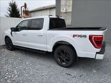 Ford F-150 5,0 V8 298kW - náhled 10