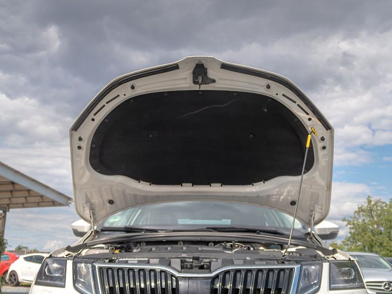 Škoda Octavia (2018) ČR 2.0TDI 110KW DSG – NAVIGACE - fotka 42 z 46