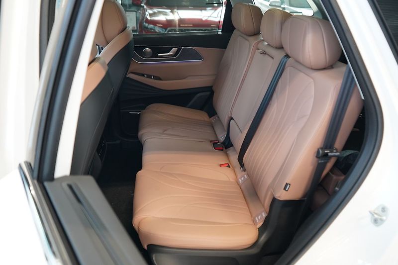 Chery Ostatní UNIQUE 1.5 TGDI PHEV - fotka 20 z 22