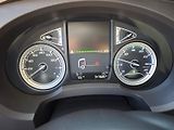 DAF LF 230, 12t, 18 palet, 2x shrnova - náhled 15