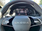 Škoda Scala (2026) 1.0 TSI 70kW Classic - náhled 22