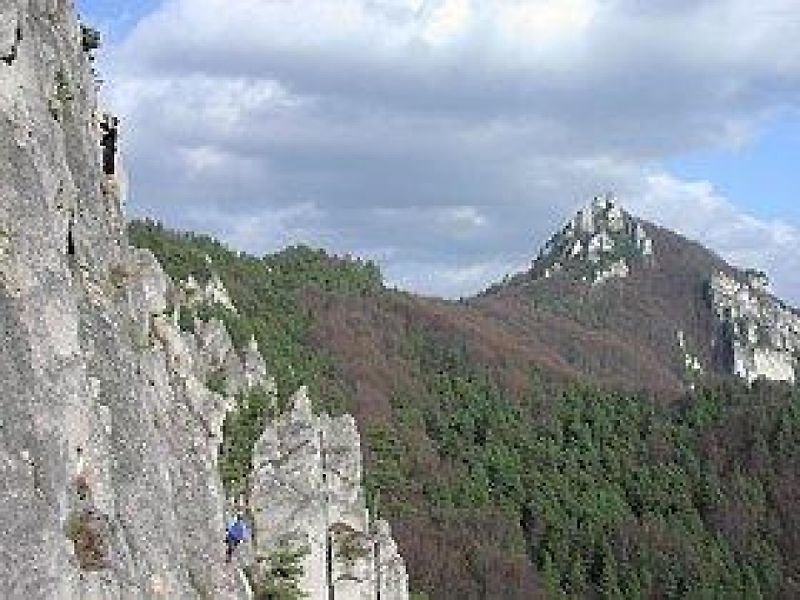 www.sulov.com