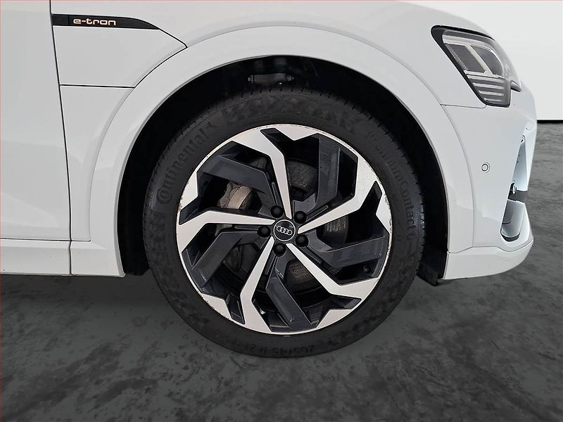 Audi e-tron (2021) S-Line 50 quattro - fotka 15 z 26