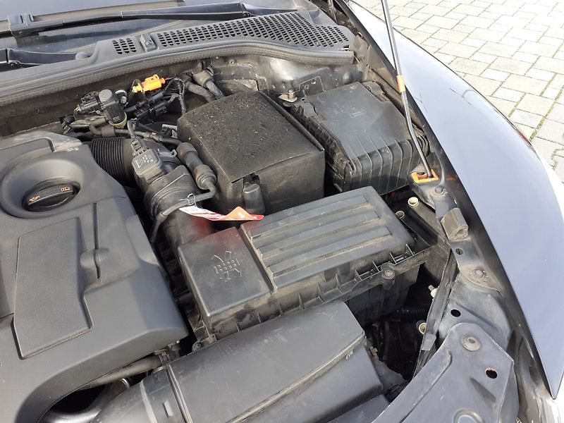 Škoda Octavia (2013) KOMBI 1.6 TDi 4x4 ČR - fotka 22 z 34
