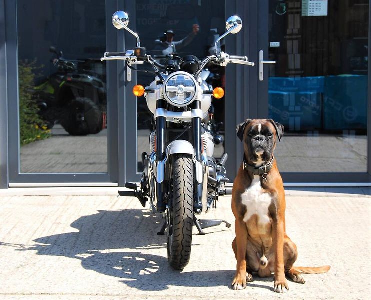 Royal Enfield Super Meteor 650 (2026) INTERSTELLAR BLACK - fotka 7 z 25