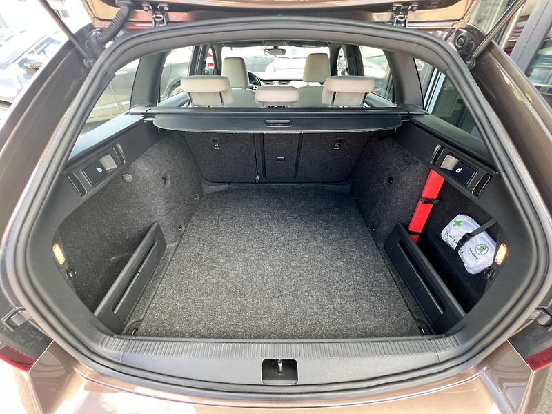 Škoda Octavia 2.0TDi 135kw 4x4 DSG ČR odpDPH - fotka 33 z 49