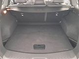 Renault Koleos (2018) 1.6 dCi, Kůže, Navi, Tempomat - náhled 14