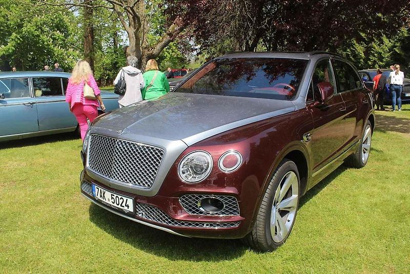 Luxusní vozy se v sobotu 4. května sjely na zámek do Lnář. Převládala auta značky Rolls-Royce.