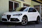 Alfa Romeo Stelvio 2.2D 16V 154kW Veloce AT8-Q4 - náhled 1