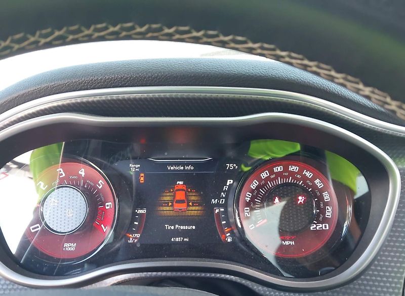 Dodge Challenger (2018) Auto na cestě - fotka 6 z 14