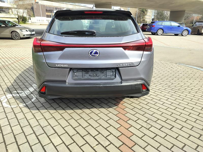Lexus UX 250h BUSINESS edition,alcantara - fotka 6 z 24