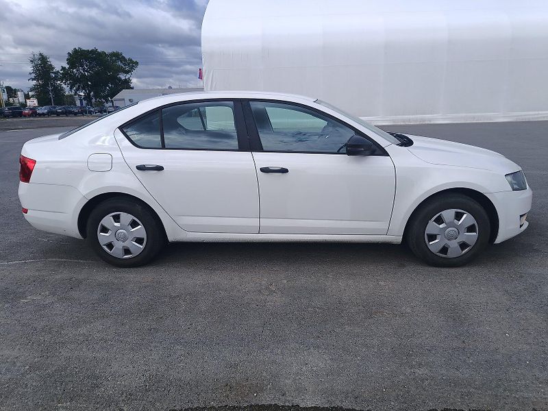 Škoda Octavia III 1.6 TDI - fotka 7 z 45
