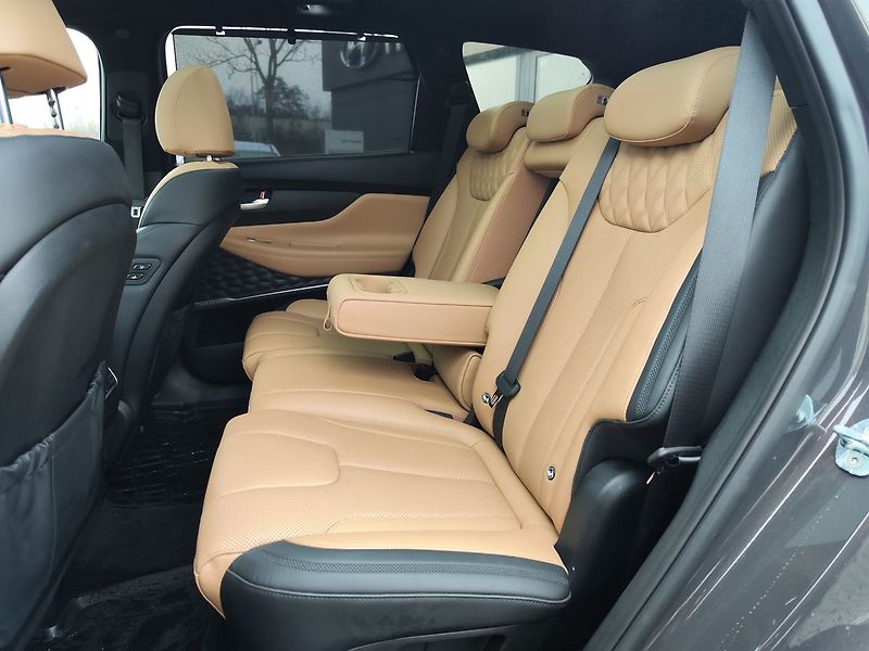 Hyundai Santa Fe 2.2 CRDI/142kW Luxury PNM DCT - fotka 15 z 38