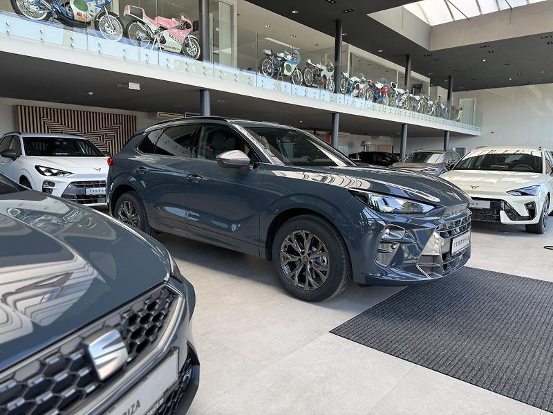 Cupra Terramar (2026) 2.0 TSI 204k DSG 4WD - fotografie inzerátu