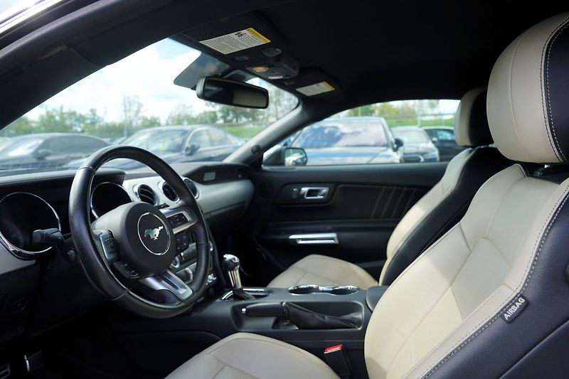 Ford Mustang 5.0 GT V8 330 KW/AT/GT 500/DPH - fotka 16 z 25