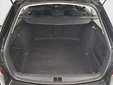 Škoda Octavia (2017) 1.6 TDI, Automat, Tempomat - náhled 14