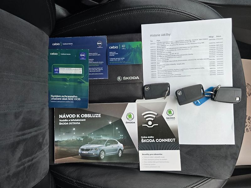 Škoda Octavia 2.0TSi 140kW DSG L&K 4x4 KŮŽE - fotka 34 z 38