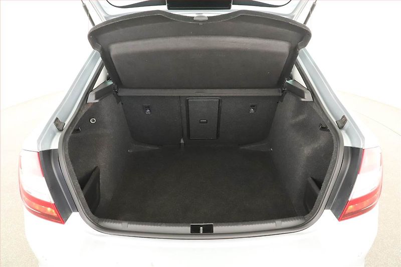 Škoda Rapid (2018) Style 1.4 TDI, Serv.kniha - fotka 12 z 13