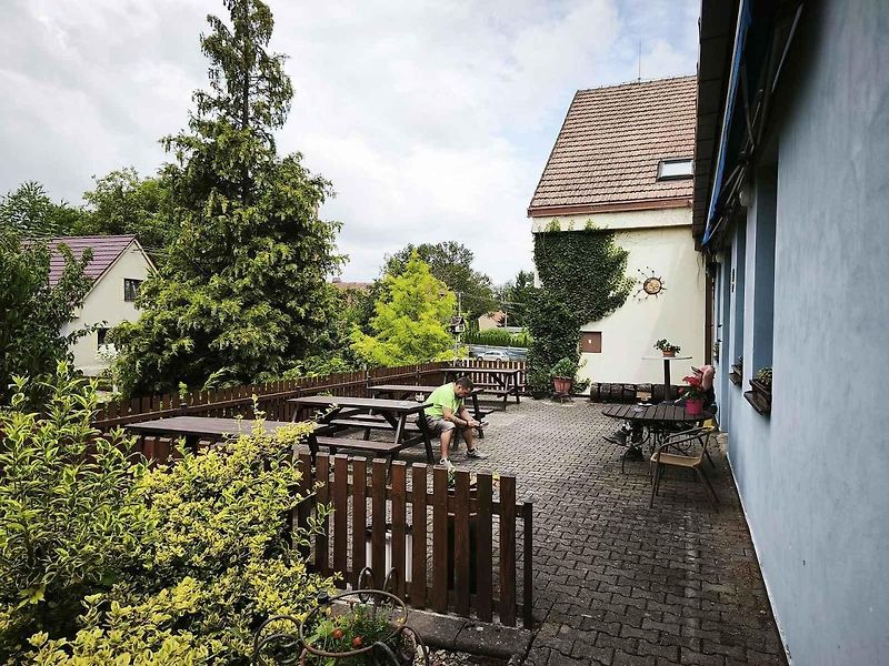Objednali jsme si vepřový řízek s bramborem za 170 korun.