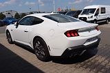 Ford Mustang (2026) Fastback 5.0 MagneRide - náhled 4