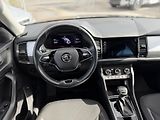 Škoda Kodiaq (2023) 2.0 TDI 110 KW DSG  - náhled 36