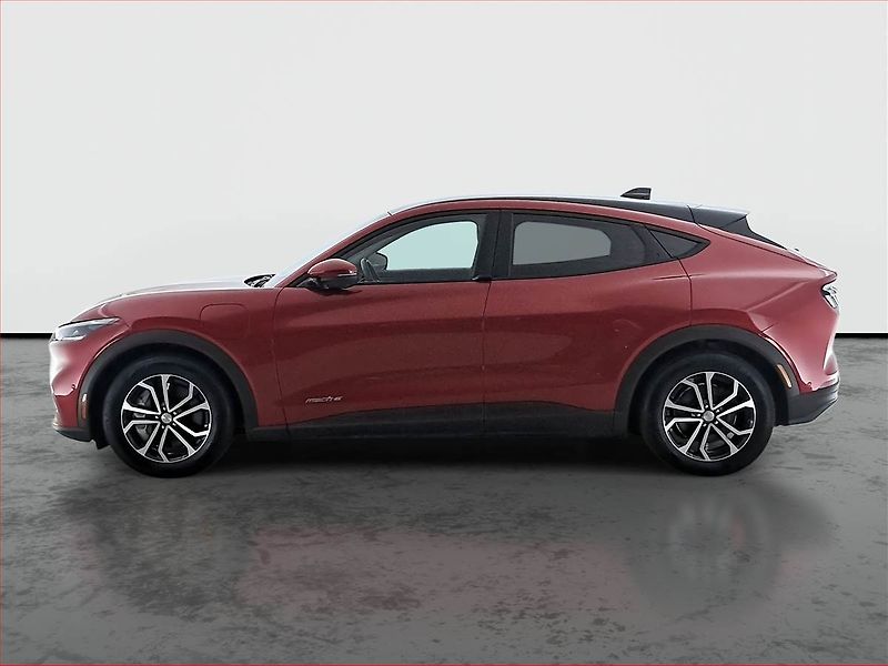 Ford Mustang Mach-E (2022) Standard Range RWD, SoH 93% - fotka 3 z 18