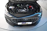 Ford Focus (2023) 1.5 LED VIRTUAL ACC BO 8AT ECO - náhled 34