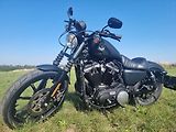 Harley-Davidson XL 883N Sportster Iron (2021) - náhled 13