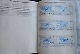Ford Fusion 1,4i NAJ.100000km STK07/2028! - náhled 29