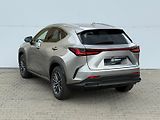 Lexus NX 350h 2,5 HSD e-CVT Executive 4×4 E- - náhled 7