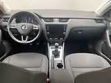 Škoda Octavia (2020) 1.0 TSi, Ambition, výhřev sed - náhled 8