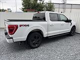 Ford F-150 5,0 V8 298kW - náhled 13