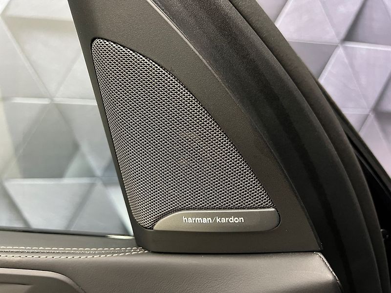 BMW X5 30d xDrive M-SPORT, VZDUCH, PA - fotka 30 z 37