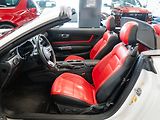 Ford Mustang (2019) 5.0 GT Premium Convertible - náhled 12