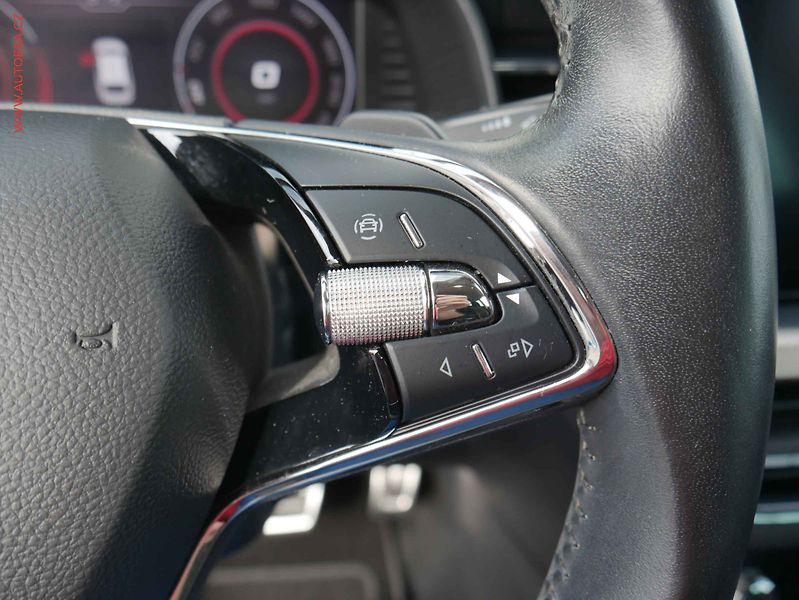 Škoda Scala (2020) 1.5TSi, ČR, DSG, bixen, park - fotka 14 z 17