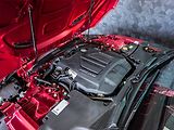 Jaguar F-Type (2024) 575 V8 Kompressor - náhled 19