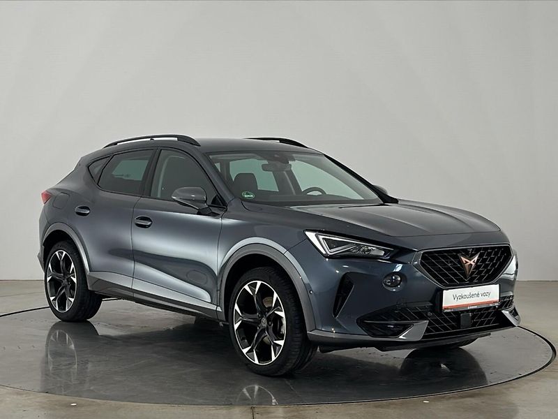 Cupra Formentor DSG - fotka 14 z 28