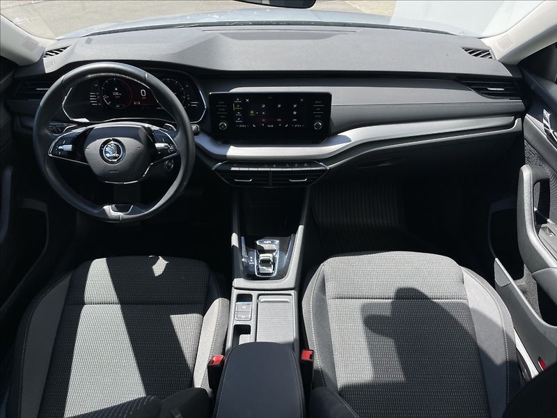 Škoda Octavia 2,0 TDI DSG 4x4 Ambi Plus TZ - fotka 6 z 23