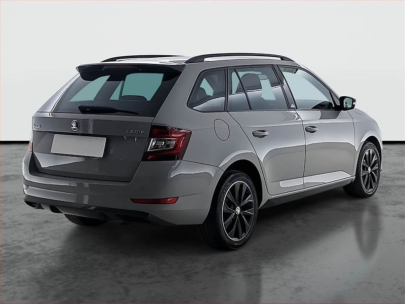 Škoda Fabia (2019) Monte Carlo 1.0 TSI, Tempomat - fotka 5 z 22
