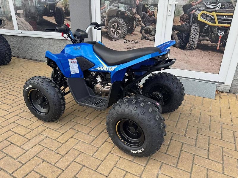 Linhai (2026) ATV 110 - fotka 3 z 5