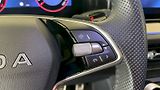 Škoda Kodiaq (2025) Sportline 2.0TDI 142kW DSG 4x4 - náhled 24