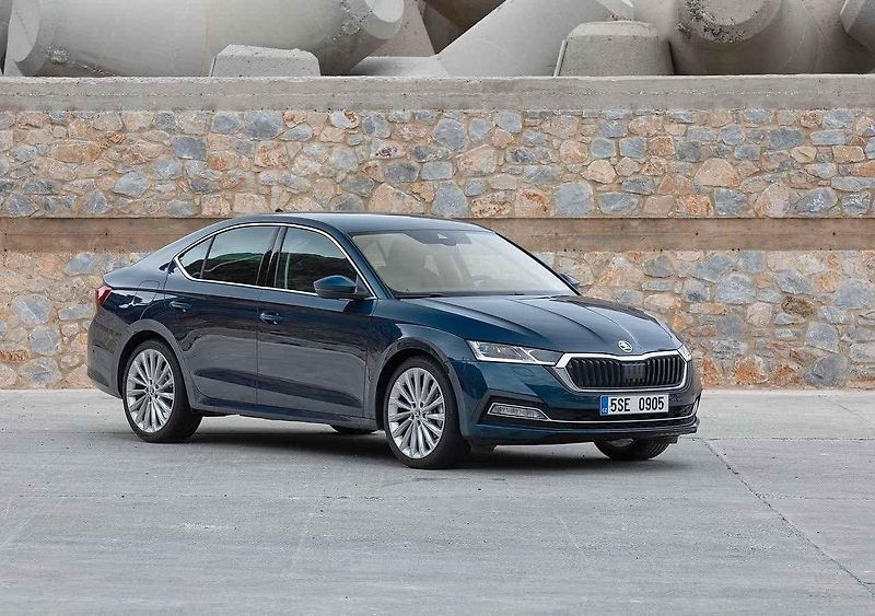 Na tom, že se zhruba desetiletými Renaulty Mégane můžou být problémy, se shodují ADAC i TÜV