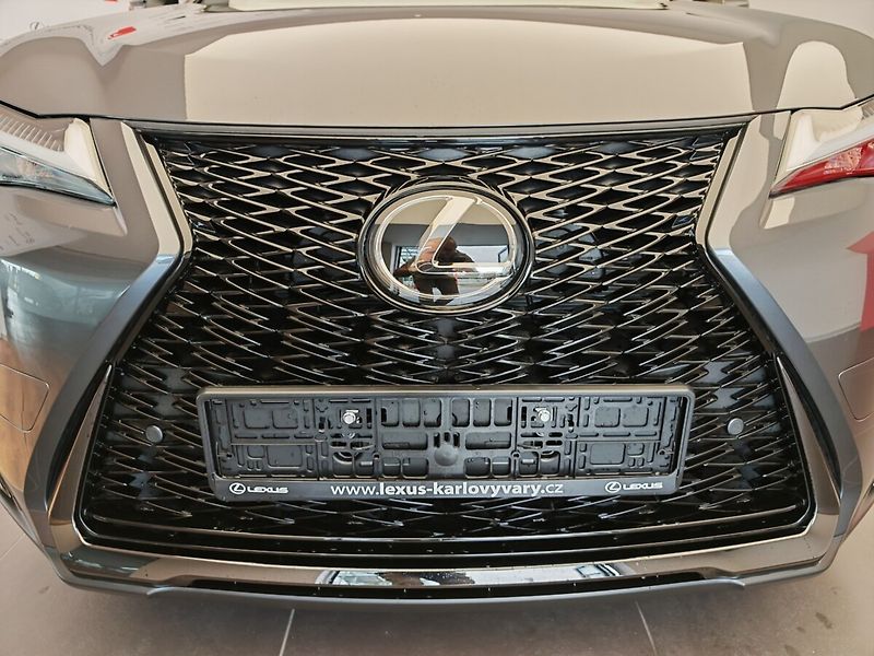 Lexus UX 300h 300h 4x2 F Sport Design - fotka 4 z 40