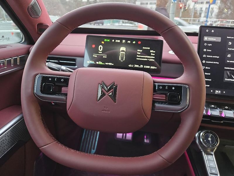 Dongfeng Ostatní (2026) M-HERO 817 E1+a  - fotka 13 z 22