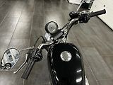 Harley-Davidson (2008) XL883 SPORTSTER - náhled 13