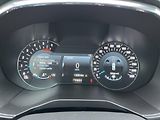 Ford S-MAX (2020) 2.0 110kw, Fordpass, Navi - náhled 13