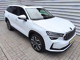 Škoda Kodiaq 2,0TDi DSG,4x4,7míst,Záruka - náhled 1
